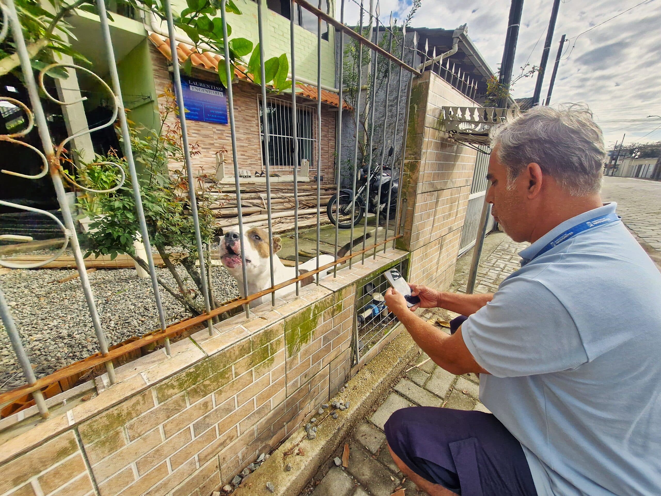 Proteção Animal conclui levantamento e identifica residências com cães de raças protetivas em Navegantes - Prefeitura de Navegantes -